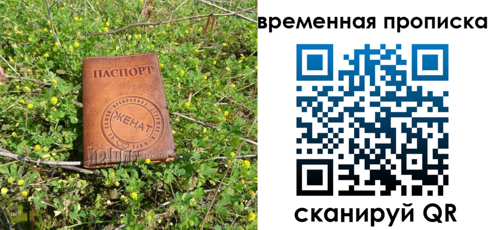 форма 3 в Камышлове